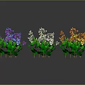 Colorful Flowering Plants With Green Leaves And Reflections On Dark Background