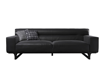 Double sofa combination 3d model