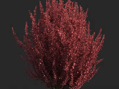 Vibrant Red Shrub With Lush Foliage And Dense Branch Structure 3d model