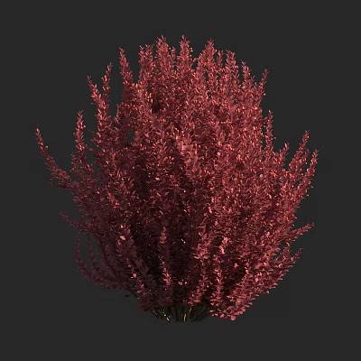 Vibrant Red Shrub With Lush Foliage And Dense Branch Structure 3d model