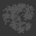 Isolated Tree With Lush Green Leaves And Brown Trunk On Dark Background