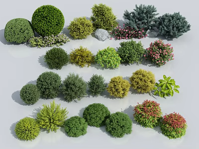 Various Types Of Garden Shrubs With Different Colors And Shapes For Landscaping 3d model
