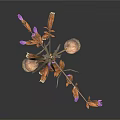 Bonsai Plant With Slender Stem And Small Purple Flowers On White Background