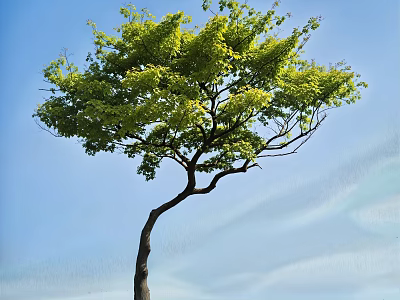 Lush Green Tree With Curved Trunk Standing Against Clear Blue Sky 3d model