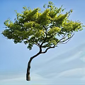 Lush Green Tree With Curved Trunk Standing Against Clear Blue Sky