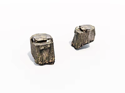 Two Natural Wooden Tree Stumps With Rough Bark And Weathered Surface 3d model