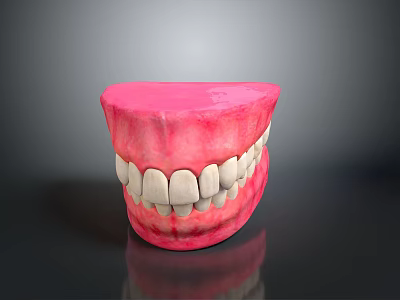 Game Movie Character Teeth Model Featuring Realistic White Teeth And Pink Gums 3d model