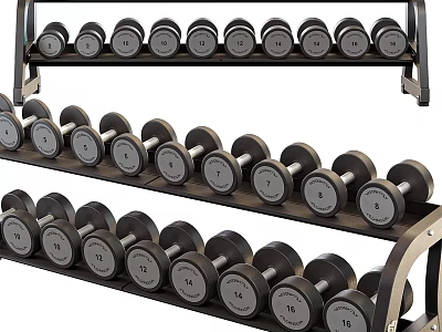 Multi Tiered Dumbbell Rack With Stacked Weight Dumbbells For Home Gym Training 3d model