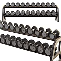 Multi Tiered Dumbbell Rack With Stacked Weight Dumbbells For Home Gym Training