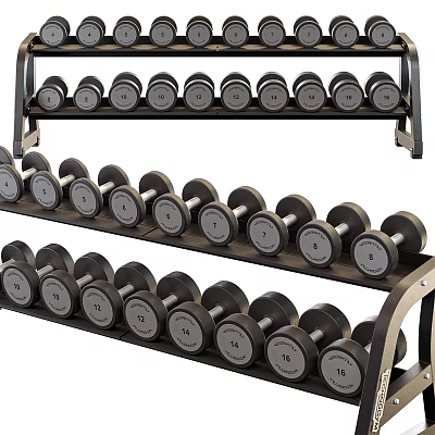 Multi Tiered Dumbbell Rack With Stacked Weight Dumbbells For Home Gym Training 3d model