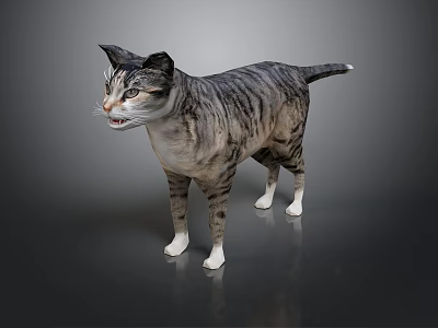 Grey Striped Cat Standing On Dark Background With Realistic Fur Details 3d model
