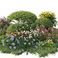 Well Pruned Garden Shrubs Surrounded By Varied Colorful Blooms And Green Foliage
