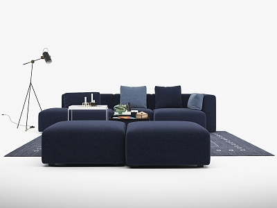 Modern Combination Sofa model