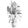 Large Leaf Potted Plant In White Pot For Indoor Home Decoration