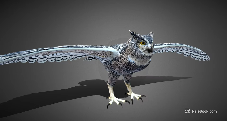 Flying Animal Owl With Spread Wings And Detailed Feathers In Standing Posture 3d model 
