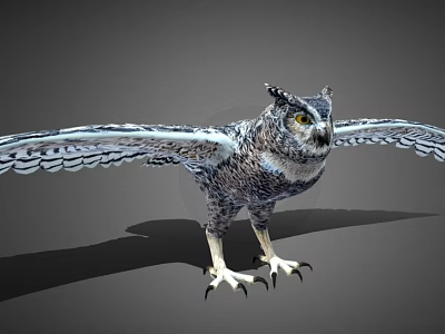Flying Animal Owl With Spread Wings And Detailed Feathers In Standing Posture 3d model