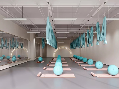 Yoga Studio Interior With Blue Yoga Balls Mats And Hanging Aerial Hammocks 3d model