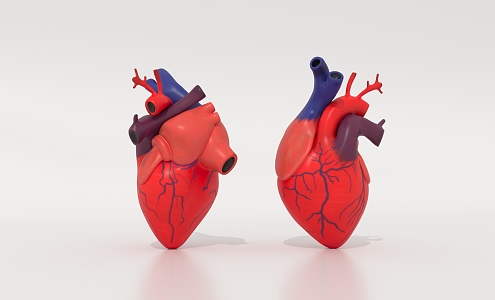 The Modern Heart 3d model