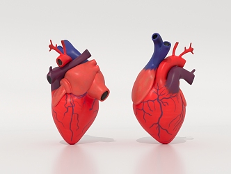 The Modern Heart 3d model