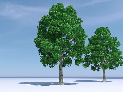 The Modern Tree 3d model