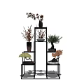 Modern Indoor Bonsai Plants Display On Multi Tiered Black Metal Shelf
