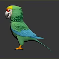 Colorful Green Parrot With Yellow And Red Head White Beak Yellow Claws On Black Surface