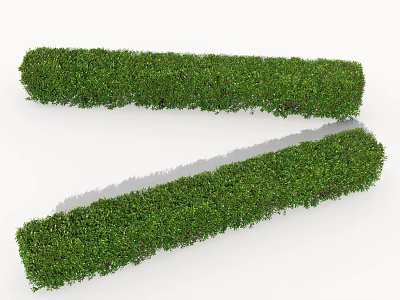 Well Trimmed Green Bushes For Garden Landscaping And Outdoor Decoration 3d model