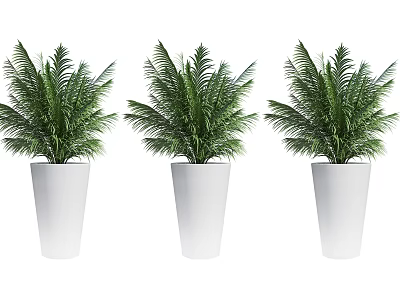 Three Green Potted Plants With Lush Leaves In White Indoor Planters 3d model