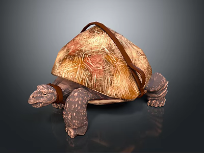 Close Up View Of Reptile Tortoise With Brown Red Patterned Shell And Claws 3d model