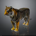 Realistic Tiger With Orange Fur Black Stripes And White Underbelly Standing Pose