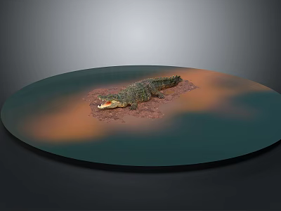 Crocodile Resting on Circular Platform With Green and Orange Surface Area 3d model