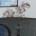 Bonsai Plant With Dark Leaves In Gray Vase Indoor White Patterned Wall Black Tiled Floor