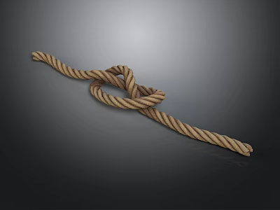 Decorative Brown And Beige Striped Knotted Rope For Daily Living Supplies 3d model