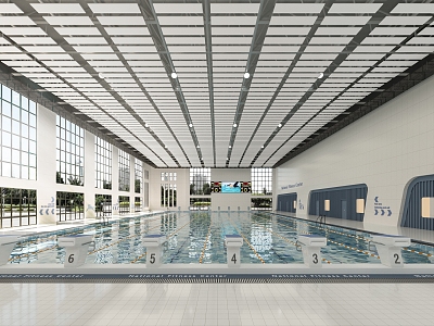 modern swimming pool 3d model