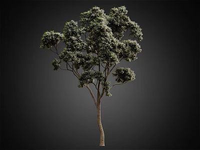 Lush Green Arbor Featuring Dense Foliage and Sturdy Trunk in Outdoor Scene 3d model