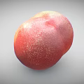 Fresh Ripe Peach with Red Yellow Smooth Skin and Juicy Appearance on Gray Background