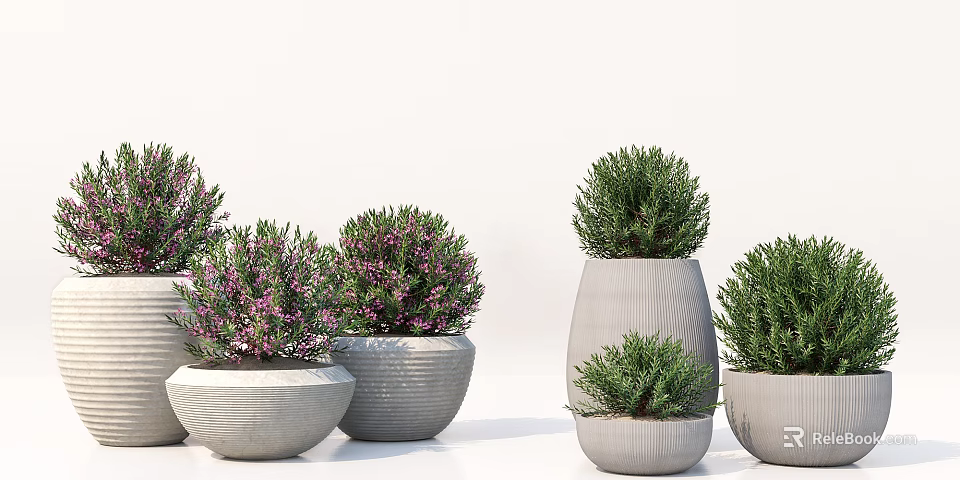 Bonsai Potted Plants with Various Sizes Shapes Gray Pots Green Foliage Purple Flowers 3d model 