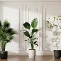 Stylish Indoor Potted Plants With White Decorative Walls Wooden Floor And Various Foliage Types
