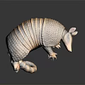 Reptile Featuring Scaly Shell Light Brown Color Ears And Reflection On Dark Background 3d model