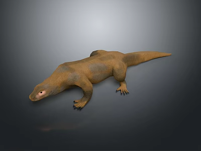 Brown And Yellow Lizard With Red Eyes On Gray Background Detailed View 3d model