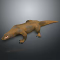Brown And Yellow Lizard With Red Eyes On Gray Background Detailed View