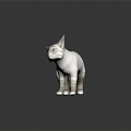 Modern Cat Kitten Flower Cat Domestic Cat 3d model