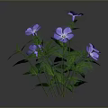 Decorative Garden Plant With Vibrant Purple Flowers And Lush Green Leaves For Outdoor Spaces