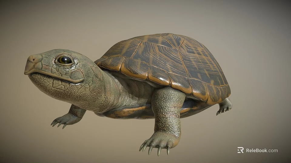 Realistic Turtle Sculpture With Detailed Textured Shell And Sharp Claws 3d model