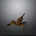 Realistic Brown Striped Scorpion 3D Model With Detailed Exoskeleton And Claws