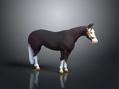 Brown Horse with White Legs Facial Markings and Golden Bridle Standing on Dark Surface with Reflection 3d model