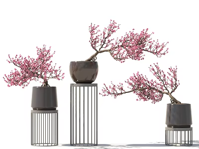 Decorative Bonsai Potted Plants With Pink Blossoms On Metal Stands 3d model