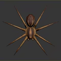 Detailed Brown Spider With Eight Long Legs And Striped Body On Dark Background