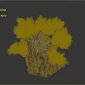 Natural Bonsai Tree On Rock With Lush Green Foliage And Textured Bark