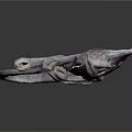 3D Rendered Chameleon with Grayish Purple Body Coiled Tail Posed on Dark Background